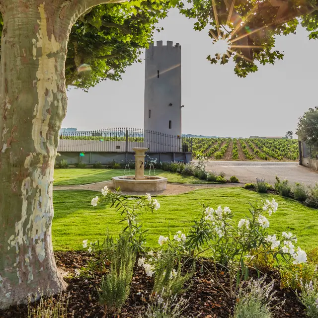 Domaine Tour Saint Michel_Châteauneuf-du-Pape