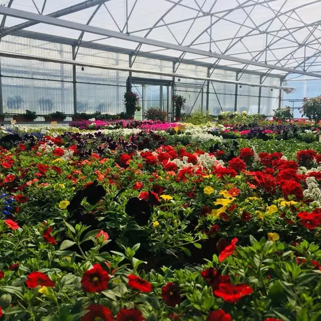 GAEC des Demoiselles Coiffées