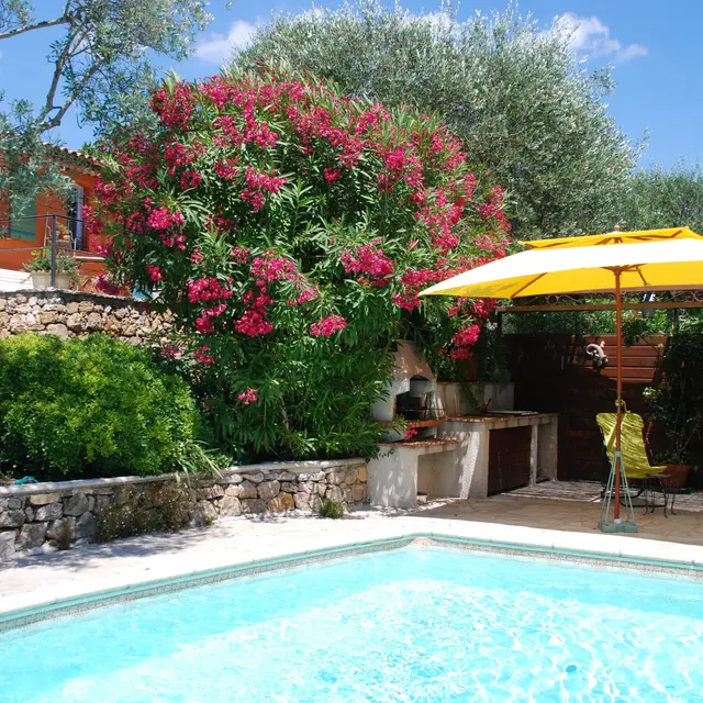 Le Clos des Oliviers