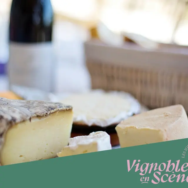 Dégustation Vin & Fromage - Terres de Syrah_Tain-l'Hermitage