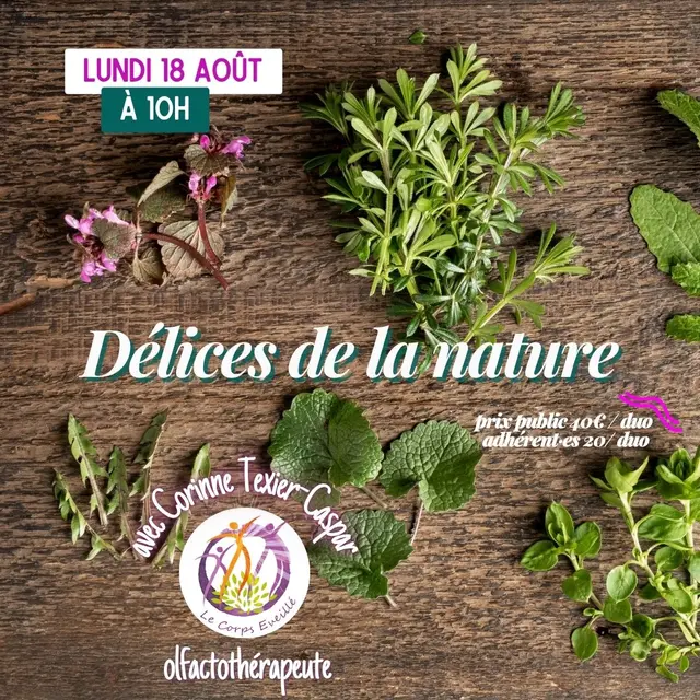 Délices de la nature_Sainte-Marie-de-Ré