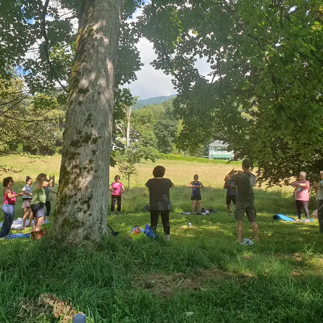 Qi Gong