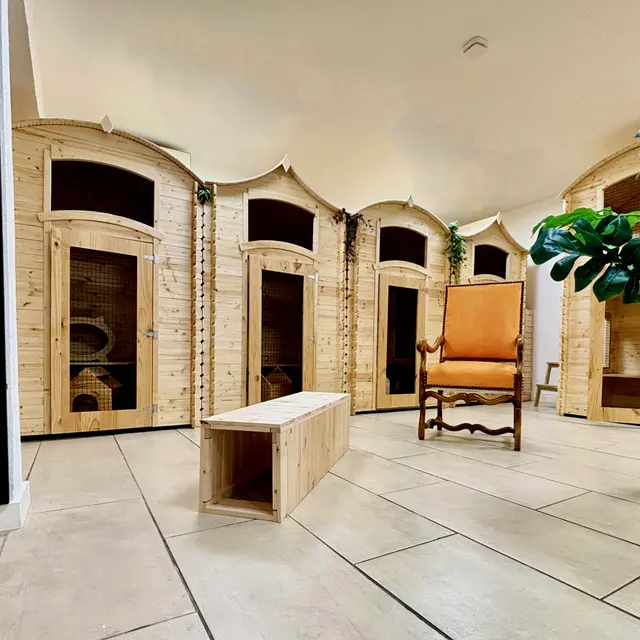 CAT LODGE HOTEL_Le Cannet
