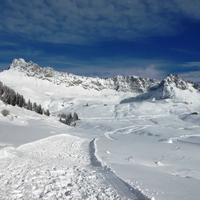 Piste piétonne de Farquet