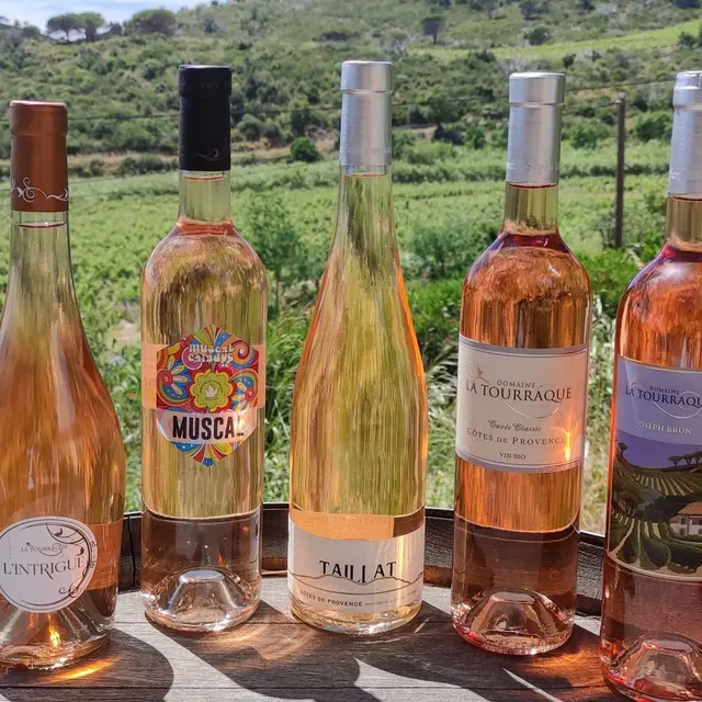 Domaine La Tourraque