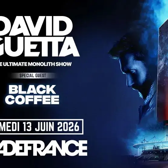 Concert de David Guetta au Stade de France