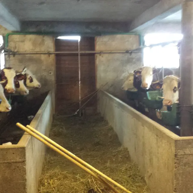 Ferme de la Gardette