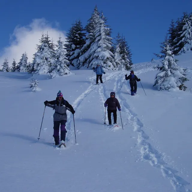 Les Glaciers
