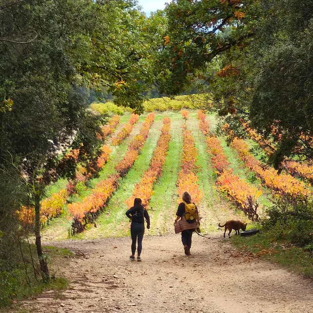 Randonnée de la Courge_Rognes