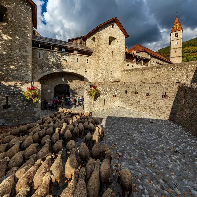 Revendran Fête de la Transhumance à Colmars