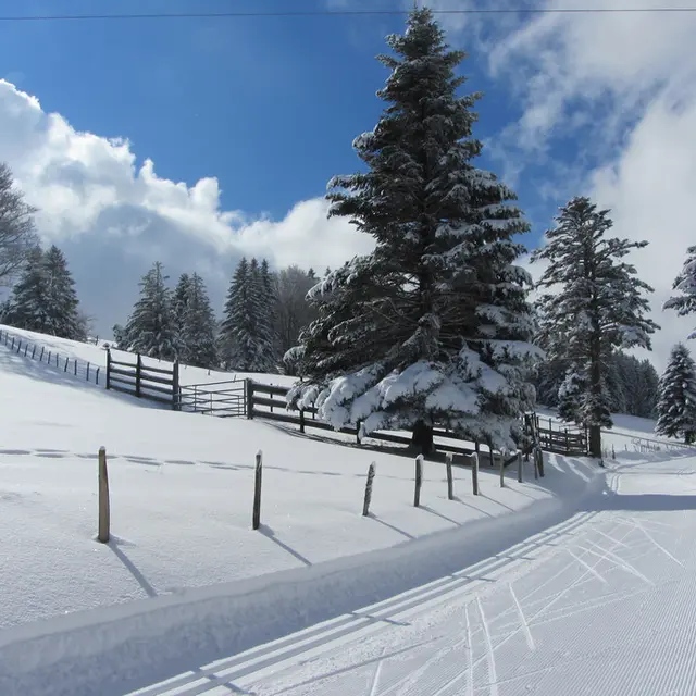 piste ski de fond saleve