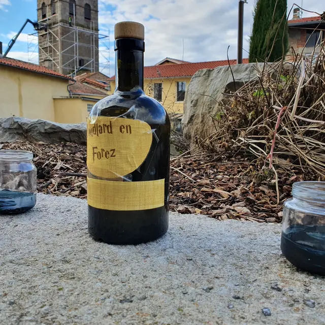 Poudlard-en-Forez_Pouilly-lès-Feurs