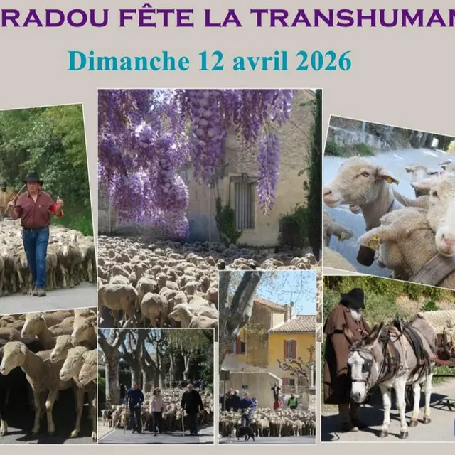 Fête de la Transhumance à Paradou_Paradou