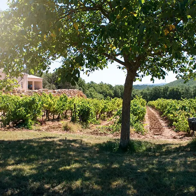 Château Saint-Baillon_Flassans-sur-Issole