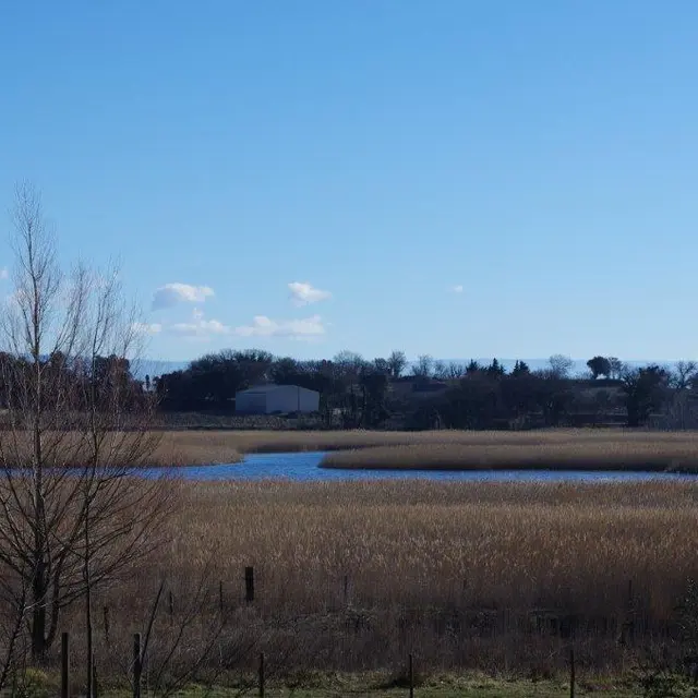 Aire de pique-nique et Toilettes Etang Salé_Courthézon