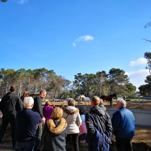 Visite du centre équestre Le Deven_Istres