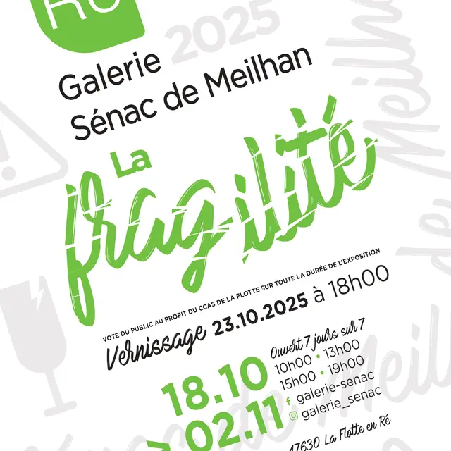 Exposition à la galerie Sénac de Meilhan - La Fragilité_La Flotte