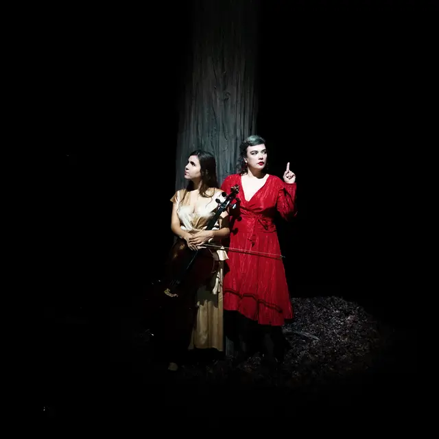 Birds On A Wire (folk, musiques du monde) - ÀLAFOLIE !_Bourg-en-Bresse