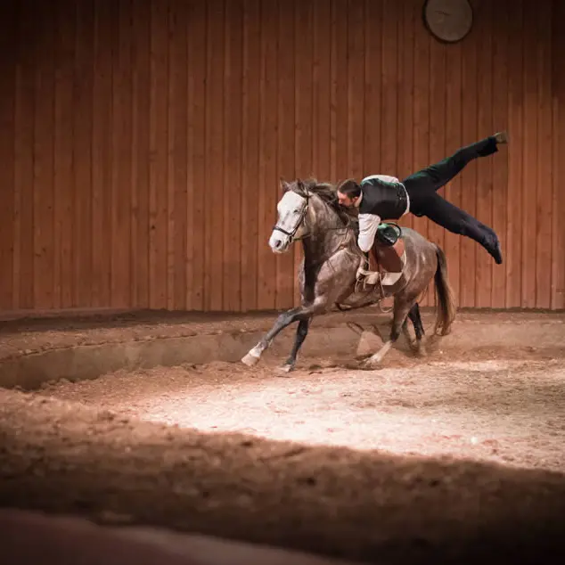 Compagnie le cabrioleur