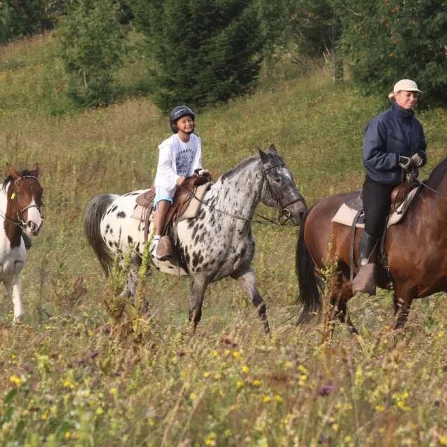 Randonnées à cheval