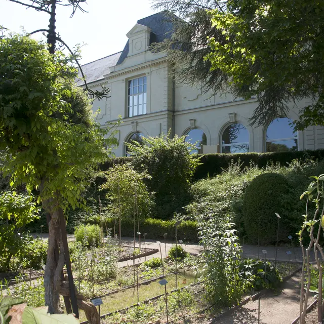 Sens à l'honneur