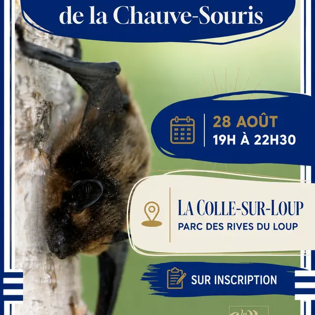Nuit internationale de la chauve-souris_La Colle-sur-Loup