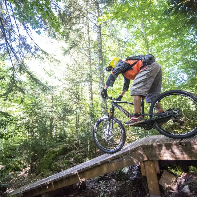 VTT de descente