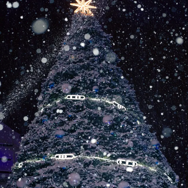 L'Illumination du Sapin_Megève