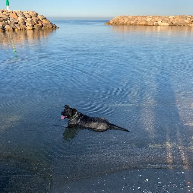 Luna a la Toutou beach