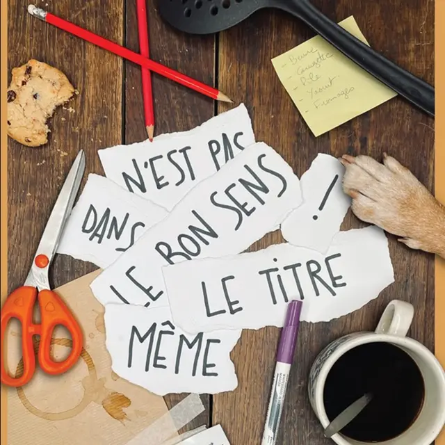 Zygomatic Festival : La Bande du Shalala : « Même le bon sens n’est pas dans le titre ! »_Chambéry