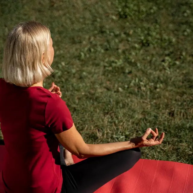 Yoga et plantes sauvages_Villeneuve-lez-Avignon