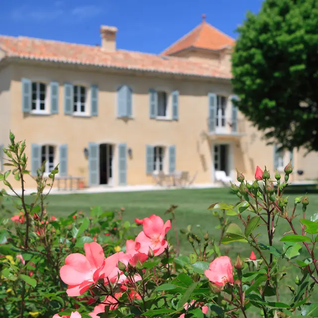 Château Lafoux - Tourves