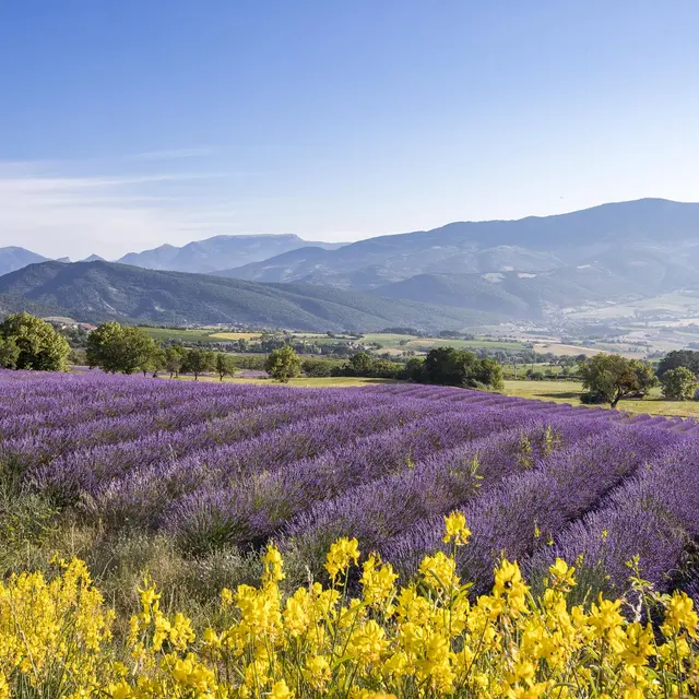 Mission Ventoux_Montélimar