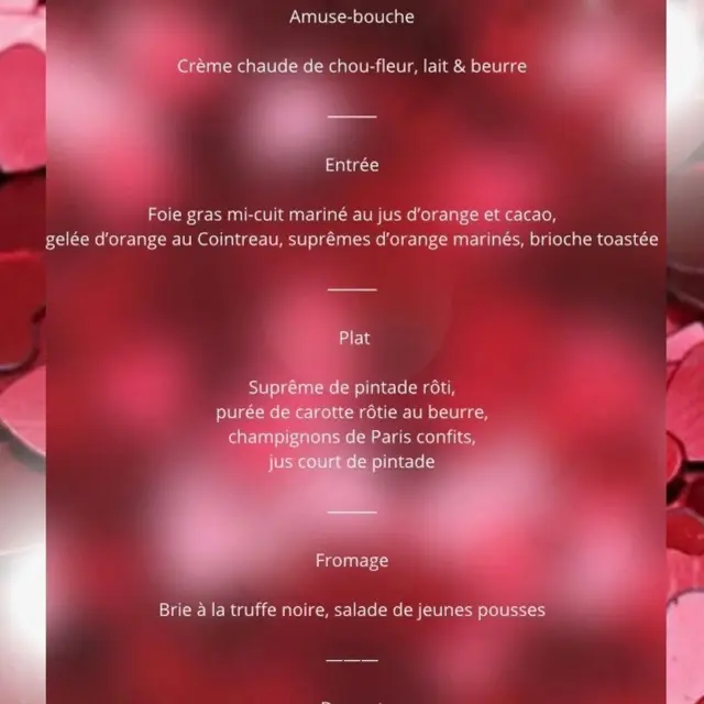 Repas de la Saint Valentin à la Bastide des Bourguets_Sault