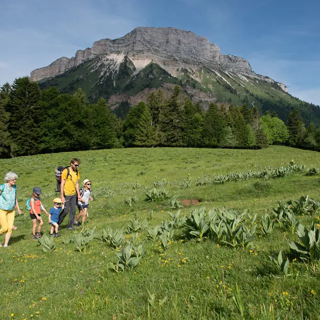 Randonnée Boucle des Emeindras