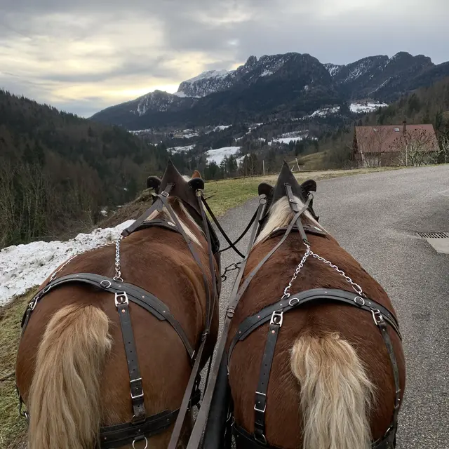 D'un Seul Trait_Saint-Pierre-d'Entremont