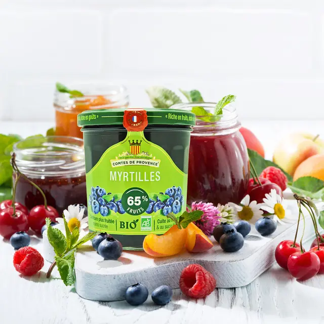 Les Comtes de Provence