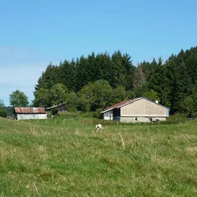 Col du feu - Col des Moises