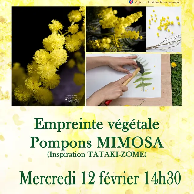 atelier empreinte végétale