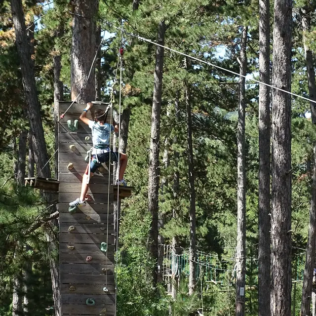 Arbre et aventure en Pays Dignois