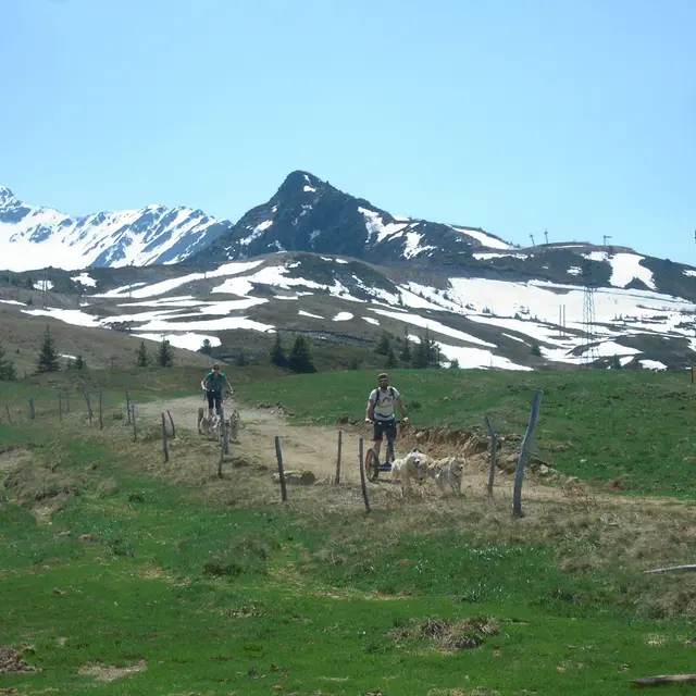 mushing