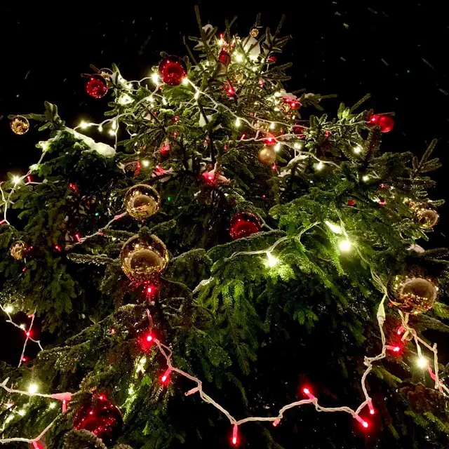 Féeries de Noël de Barcelonnette