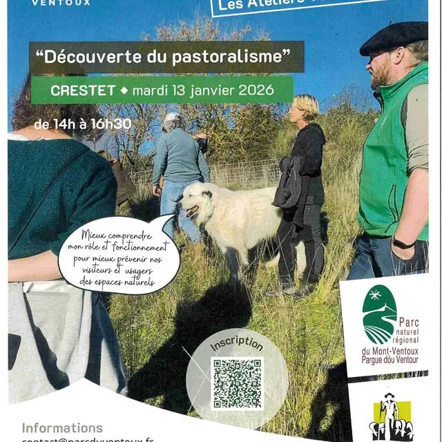 Atelier - La découverte du pastoralisme_Crestet