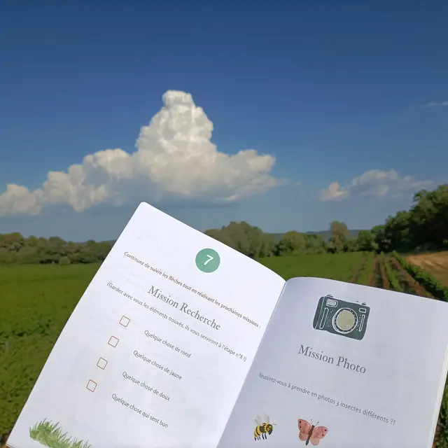 Jeu des Pitchouns au Novi à La Tour d'Aigues_La Tour-d'Aigues