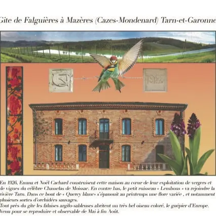 Meublé de Tourisme de M. Cachard