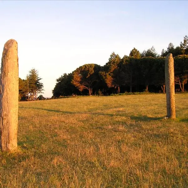 Menhirs de la ferme Lambert