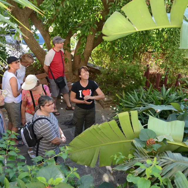 Visite guidée botanique