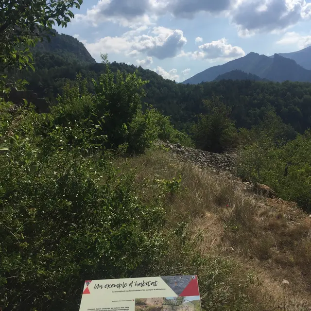 Un exemple d'habitat