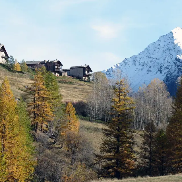 Chalet le Raux Automne