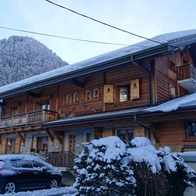 Appartement dans chalet le Vnipi - Abondance centre